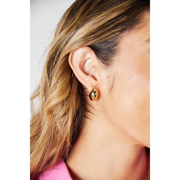 Adored Stainless Steel Earrings