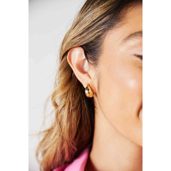 Adored Stainless Steel Earrings