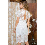 Antonella white dress