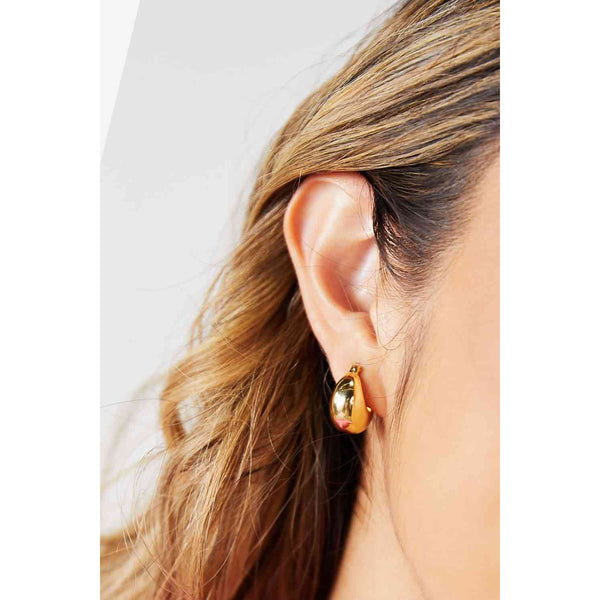 Adored Stainless Steel Earrings