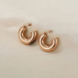 Stainless Steel C-Hoop Earrings